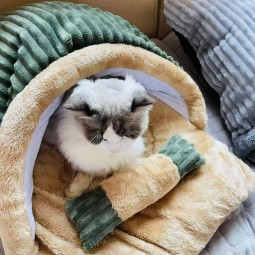 猫床厂家-半封闭拖鞋可拆洗
