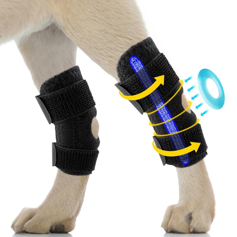 Dog Leg Strap Factory - OEM Hind Leg Surgery Support