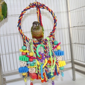 Bird Swing Factory - OEM Wooden Plastic Cotton Rope