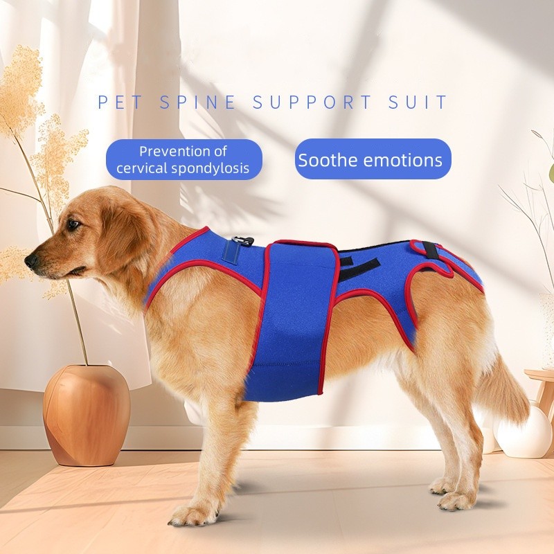 Dog Support Clothing Manufacturer - OEM Spinal Light Strip