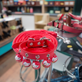 猫项圈套装批发-可爱卡通PU牵引