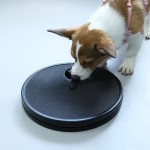宠物磨甲器厂家-3合1漏食板
