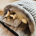 猫床厂家-半封闭拖鞋可拆洗