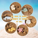 沙玩具套装供应商-3D海洋主题沙滩玩耍