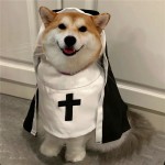 宠物服装生产商-卡通拍照道具