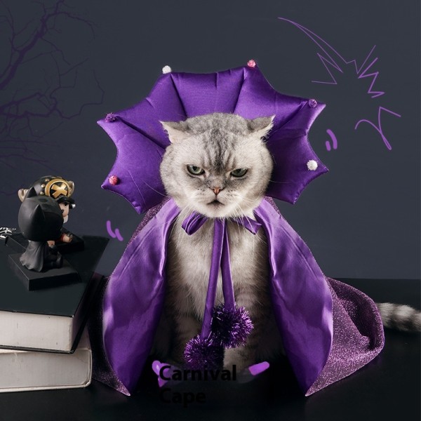 宠物服装生产商-花卉恶魔斗篷魔法帽