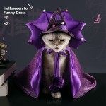 宠物服装生产商-花卉恶魔斗篷魔法帽