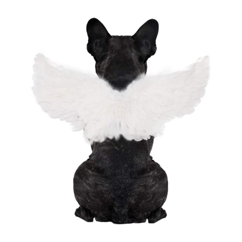 Pet Wings Coat Factory - OEM Angel Animal Print