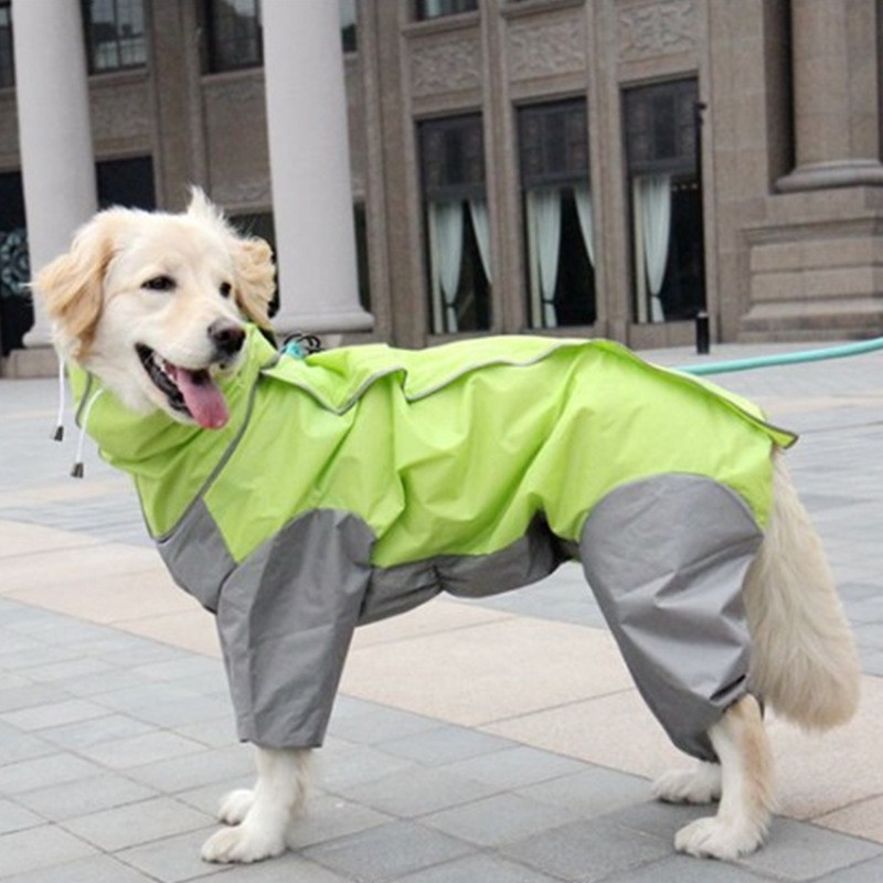 Dog Raincoat Factory - OEM Waterproof Hooded Large