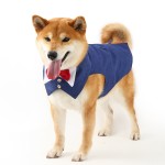 狗服装厂家-四色亚麻领结