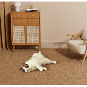 Pet Mat Wholesale - OEM Thick Plush Non Toxic