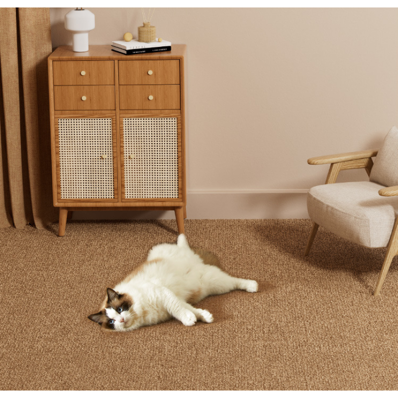 Pet Mat Wholesale - OEM Thick Plush Non Toxic