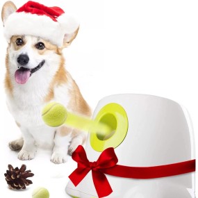 Automatic Ball Machine Factory - PC Tennis Transmitter Adjustable