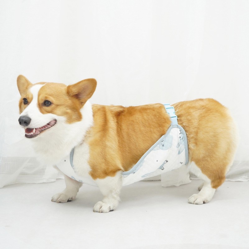 Pet Protective Clothing Supplier - Cotton Bellyband Comfortable Print