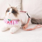 猫牵引绳供应商-I型可调加厚