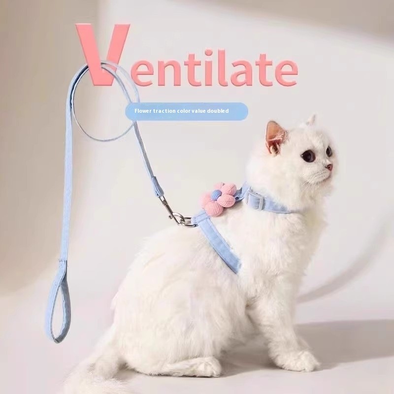 Dog Walking Rope Supplier - Colorful Nylon Outdoor Use