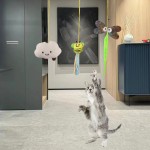 猫逗棒厂家-伸缩弹性绳羽毛