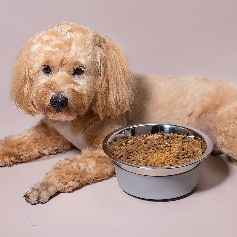 Dog Lick Mat Manufacturer - Slow Feeder Suction Pad