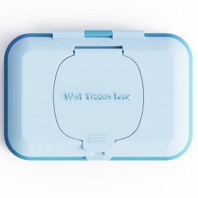Wet Tissue Box Manufacturer - Portable Travel Wipe Case