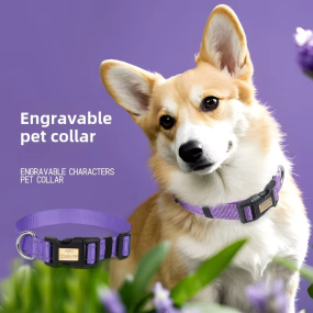 Dog Collar Manufacturer - OEM Adjustable Reflective Nylon