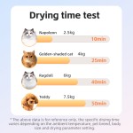 宠物吹风机生产商-智能加热自动