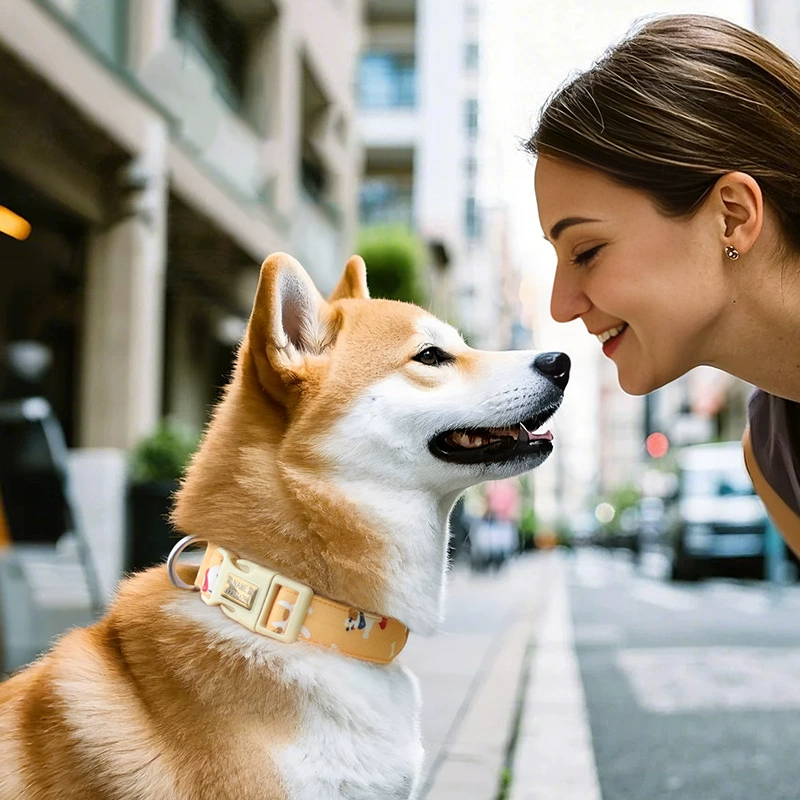 Pet Collar Factory - OEM Luxury Adjustable Sustainable