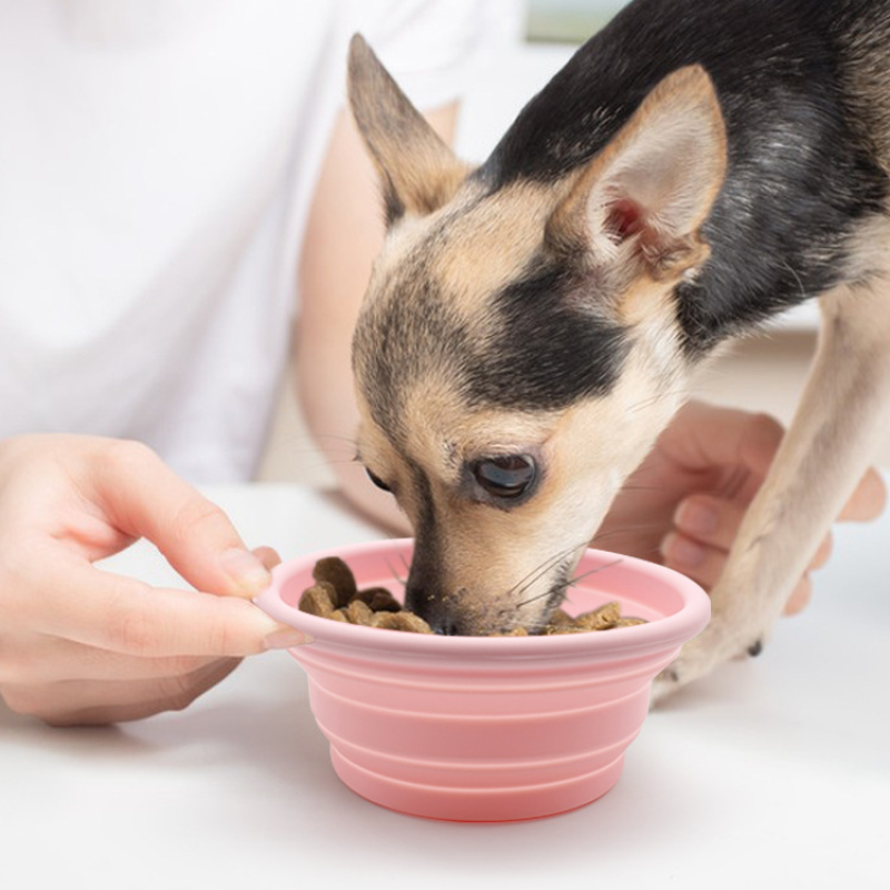 Travel Bowl Factory - OEM Custom Silicone Collapsible