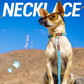 Dog Collar Manufacturer - OEM Custom Design Soft Nylon