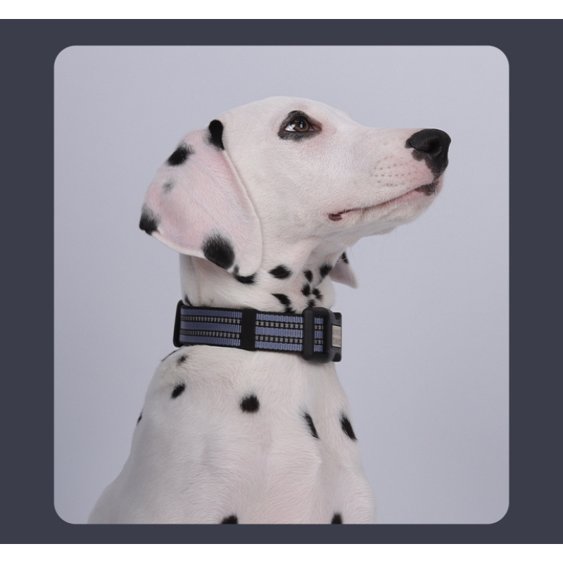 Pet Collar Factory - OEM Customizable Laser Engraving