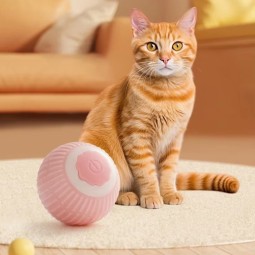 猫球生产商-互动滚球智能
