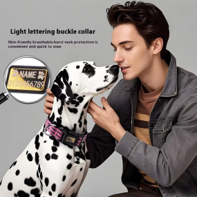 Tactical Dog Collar Manufacturer - OEM Customizable Luxury