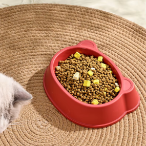 Plastic Pet Bowls Factory - OEM Durable Food Grade Feeders