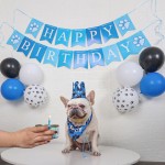 宠物生日套装厂家-派对用品帽巾气球