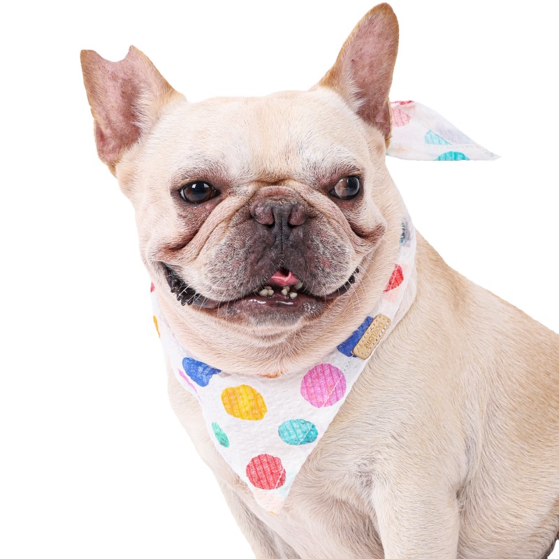 Dog Bandana Supplier - Custom Logo Cotton Printed Summer