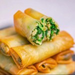 IQF Frozen Spring Rolls Factory - Traditional Halal Snacks Custom OEM Supplier