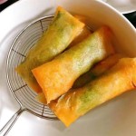IQF Frozen Vegetable Spring Rolls Manufacturer - Wholesale Customized 1kg Bag Packaging