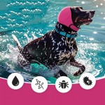 狗耳罩生产商-游泳防水降噪