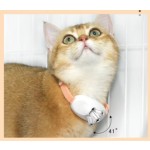 猫激光项圈生产商-智能逗趣自娱