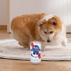 宠物发声玩具生产商-毛绒防咬罐形