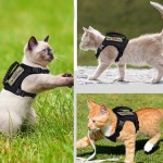 猫胸背带厂家-可调棉质胸带