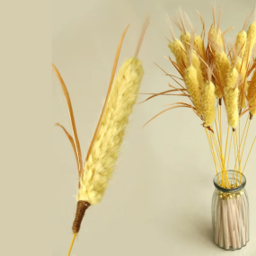 Cat Teaser Toy Factory - OEM Simulated Barley Bell Interactive