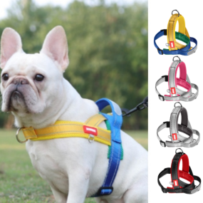 Dog Traction Rope Factory - OEM Explosion Proof Punch Collar