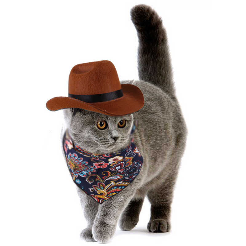 Pet Hat Manufacturer - OEM Adjustable Halloween Cowboy