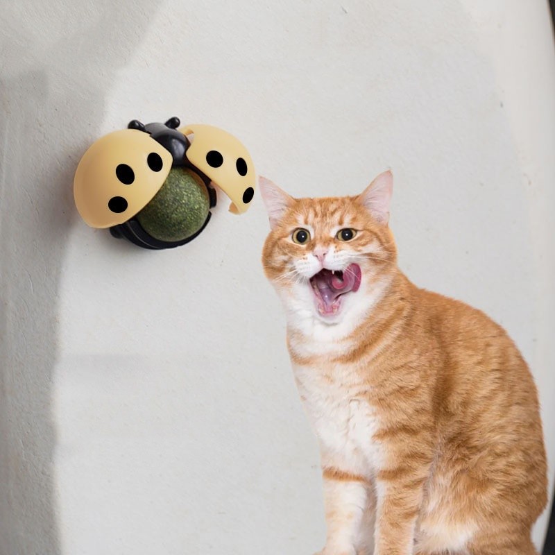 Catnip Toy Manufacturer - OEM Interactive Licking Edible