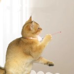 猫激光项圈生产商-智能逗趣自娱