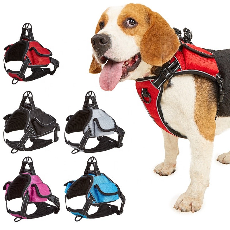 Pet Harness Set Manufacturer - OEM Solid Pattern Collar Leash