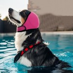 狗耳罩生产商-游泳防水降噪