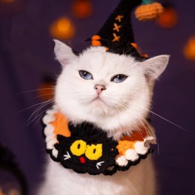 Pet Scarf Manufacturer - OEM Halloween Wool Woven Bib