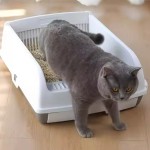 猫砂盆厂家-自清洁易处理