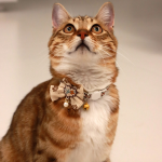 猫项链生产商-铃铛珠饰蕾丝领结